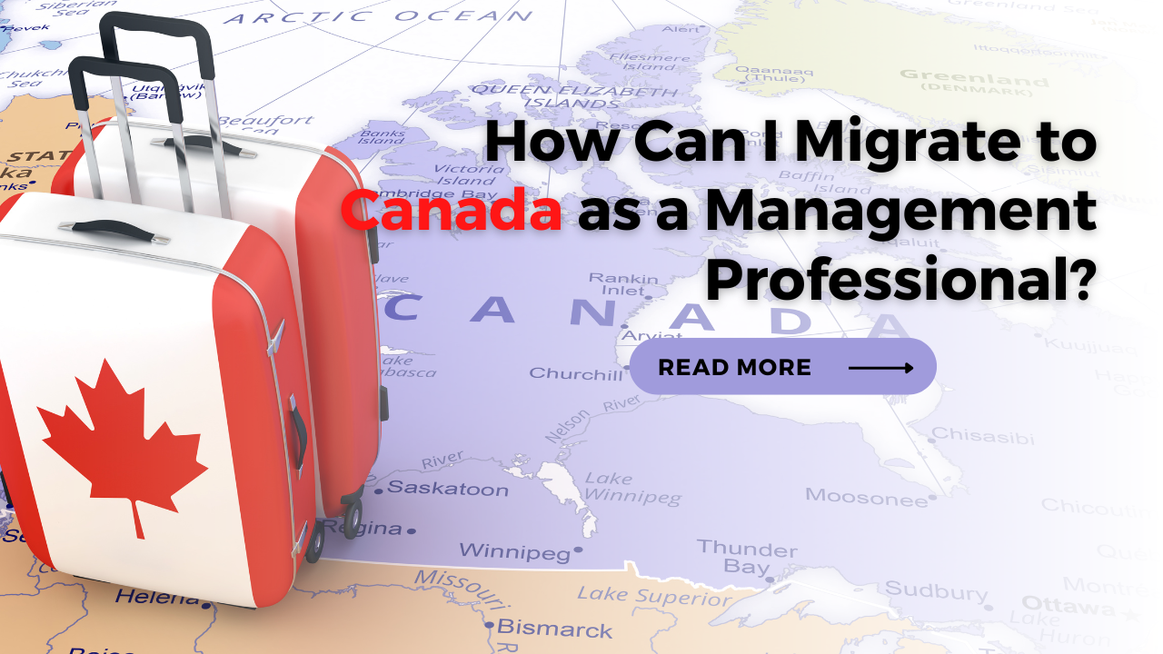 How Can I Migrate to Canada as a Management Professional?