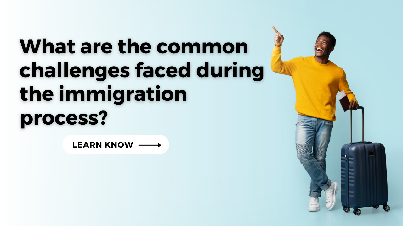 What are the common challenges faced during the immigration process?